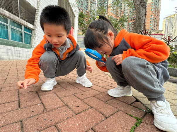 PIC_6_生活