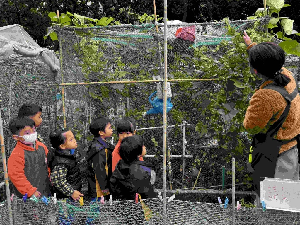 本頁圖片/檔案 - IMG_4783-1024x768