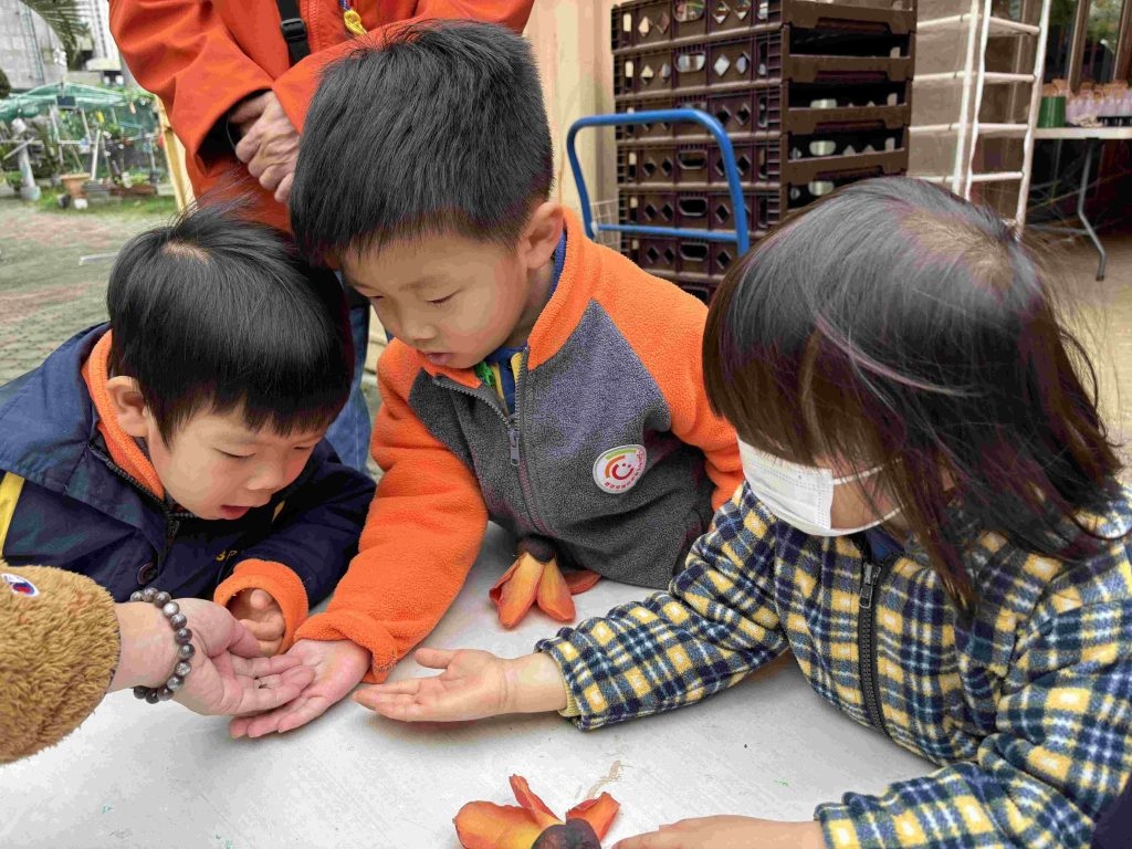 本頁圖片/檔案 - IMG_5054-1-1024x768