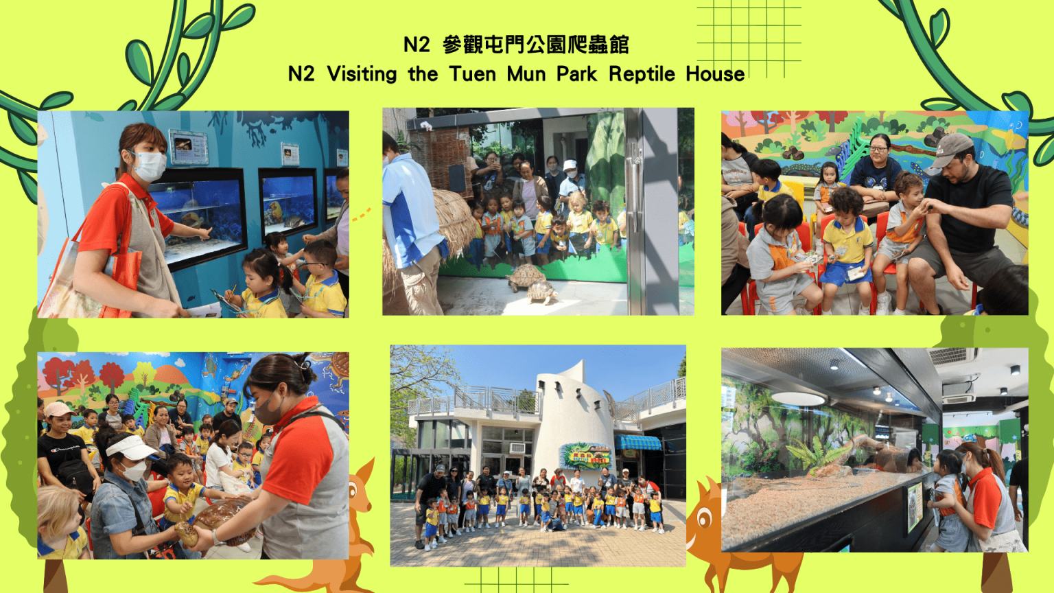 本頁圖片/檔案 - 校園動態2425_25_N2-參觀屯門公園爬蟲館-1536x864