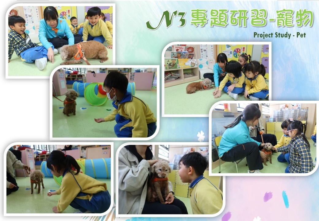 本頁圖片/檔案 - 網頁校園動態相202406_18_N3專題研習-寵物