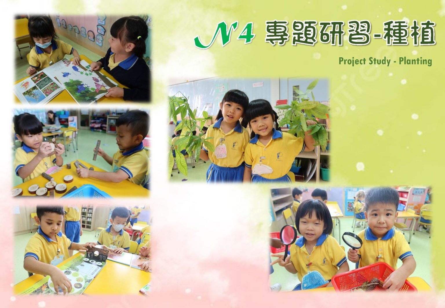 本頁圖片/檔案 - 網頁校園動態相202404_09_N4專題研習-種植-1536x1063